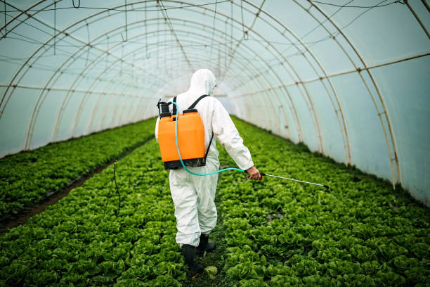 Reliable Lake Norman Of Catawba, NC Pest Control Solutions