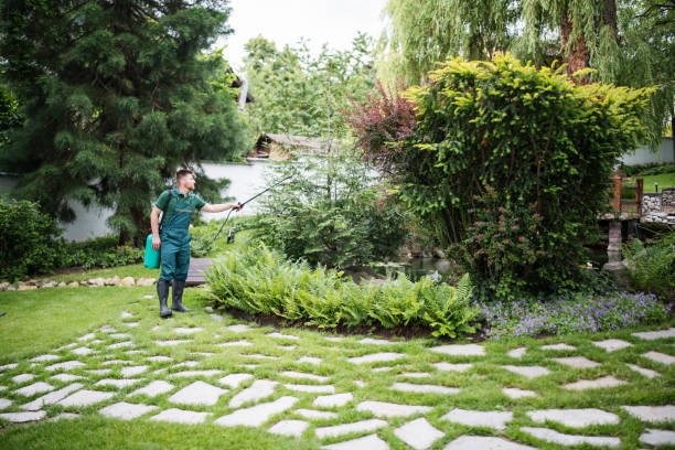 Best Pest Prevention Services  in Lake Norman Of Catawba, NC