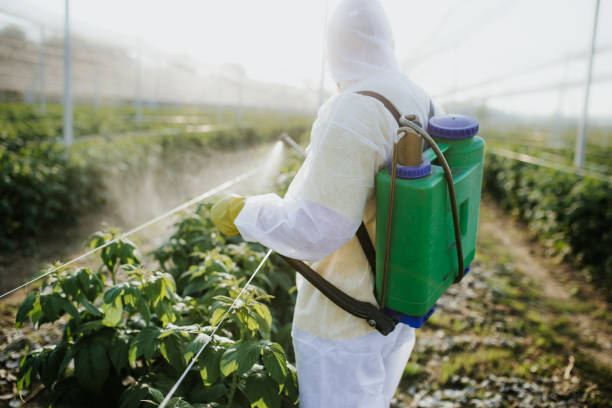 Best Bed Bug Extermination  in Lake Norman Of Catawba, NC